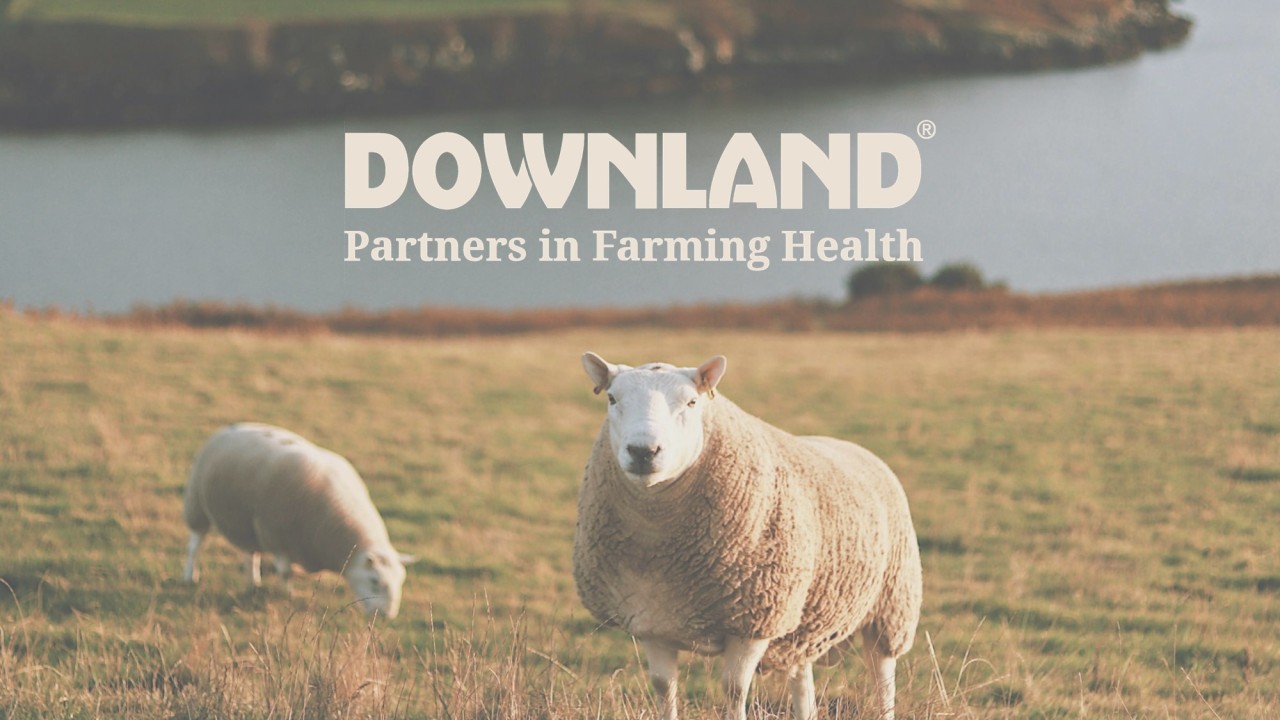 Downland-Marketing